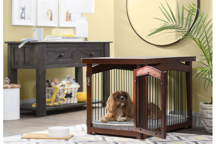 How big should dog kennel outlet be